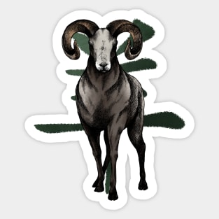 Chinese Zodiac: The Ram Sticker